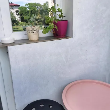 Spacious&cousy 3 Bedroom 公寓 普罗夫迪夫